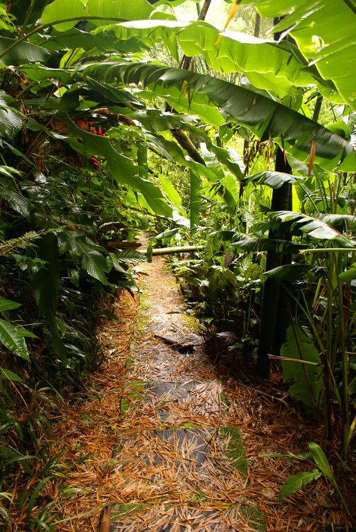 Hotel Campestre La Floresta Puerto Espejo Buitenkant foto